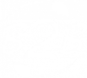 B2B icon white.